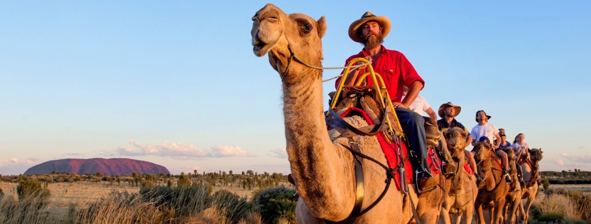 Cobber support for tourism clients