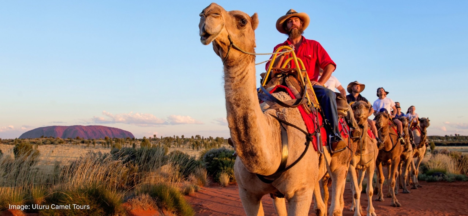 Cobber support for tourism clients