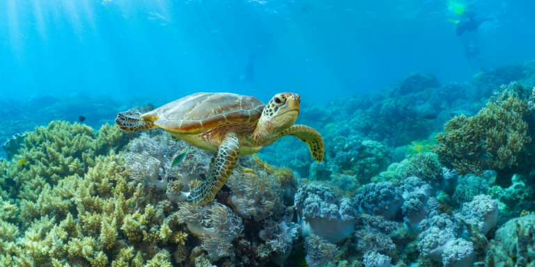 sustainability for tourism